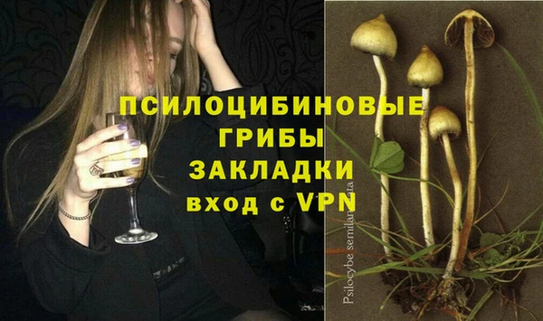 прущие грибы Бронницы